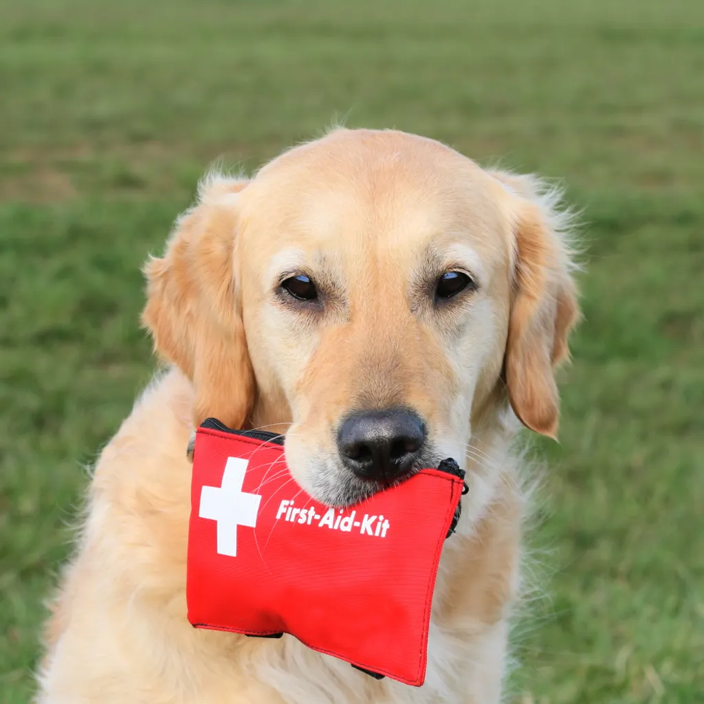 PET FIRST AID